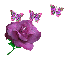 7.gif